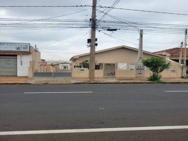 #34 - Edícula para Locação em São José do Rio Preto - SP - 1