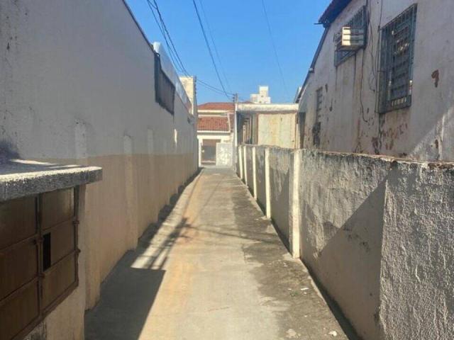 #35 - Edícula para Locação em São José do Rio Preto - SP - 2