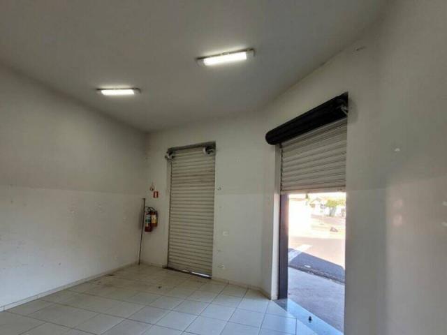 #36 - Ponto Comercial para Locação em São José do Rio Preto - SP - 3