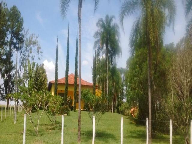 #42 - Fazenda para Venda em São José do Rio Preto - SP - 1