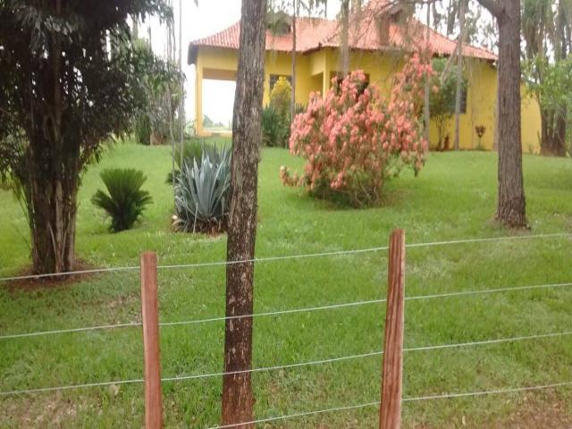 #42 - Fazenda para Venda em São José do Rio Preto - SP - 2