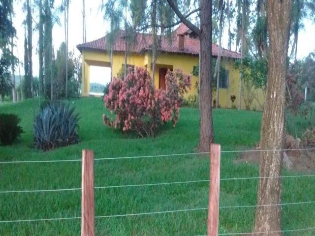 #42 - Fazenda para Venda em São José do Rio Preto - SP - 3