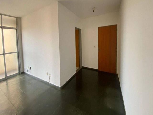 #54 - Apartamento para Locação em São José do Rio Preto - SP - 1