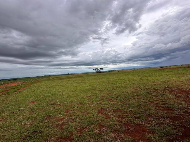 #101 - Fazenda para Venda em São José do Rio Preto - SP - 3