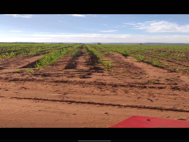 #104 - Fazenda para Venda em Santa Rita do Passa Quatro - SP - 2