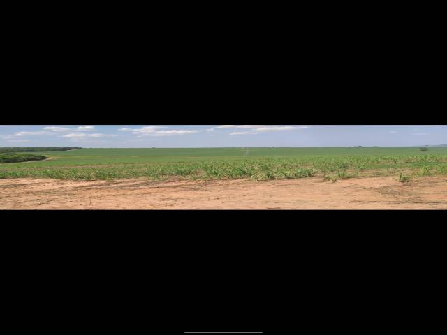 #104 - Fazenda para Venda em Santa Rita do Passa Quatro - SP