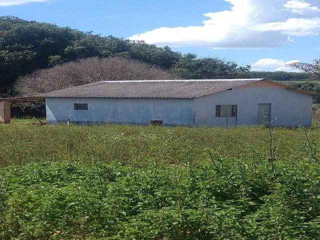 #105 - Sítio para Venda em São José do Rio Preto - SP - 1