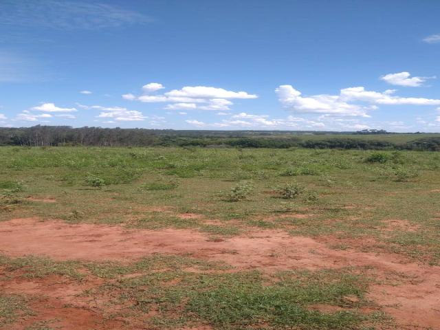 #105 - Sítio para Venda em São José do Rio Preto - SP - 3